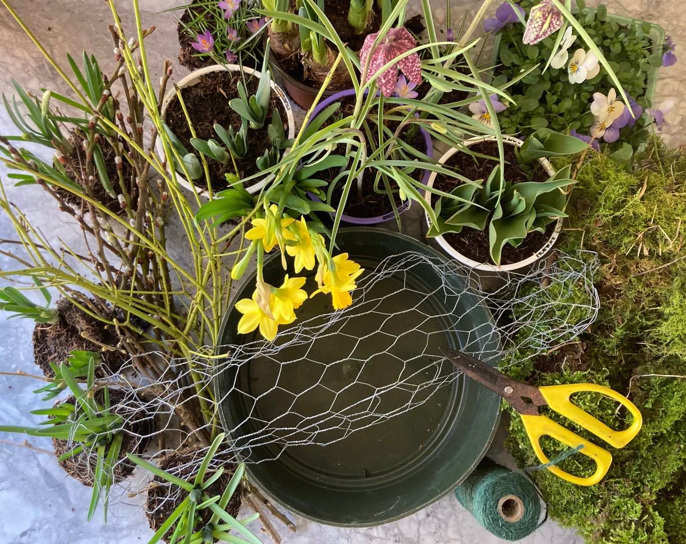 Indoor Spring Garden Workshop